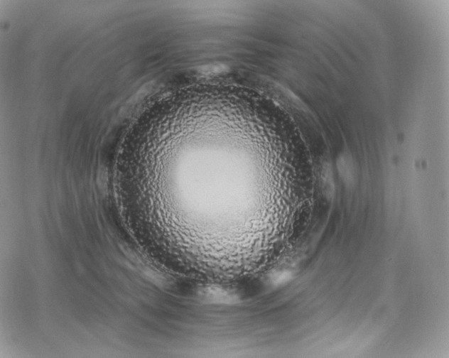 X0000073920565200608111225