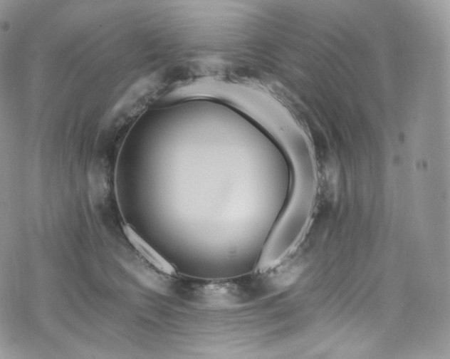 X0000073920566200608111225