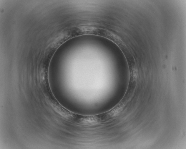 X0000073920567200608111225