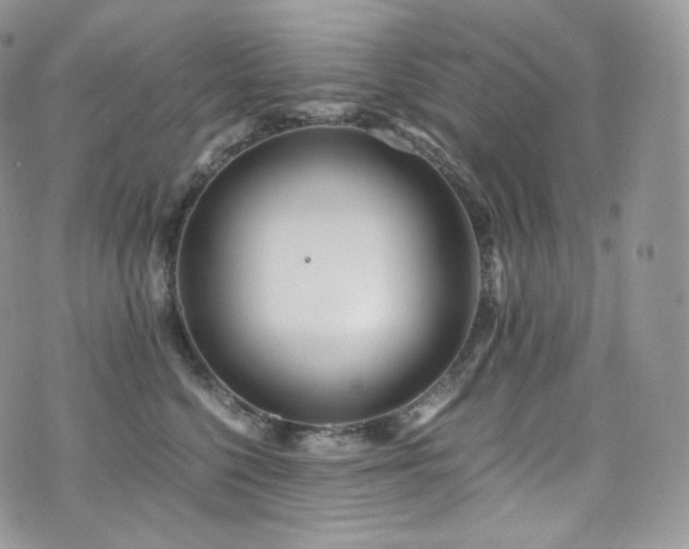 X0000073920568200608111225