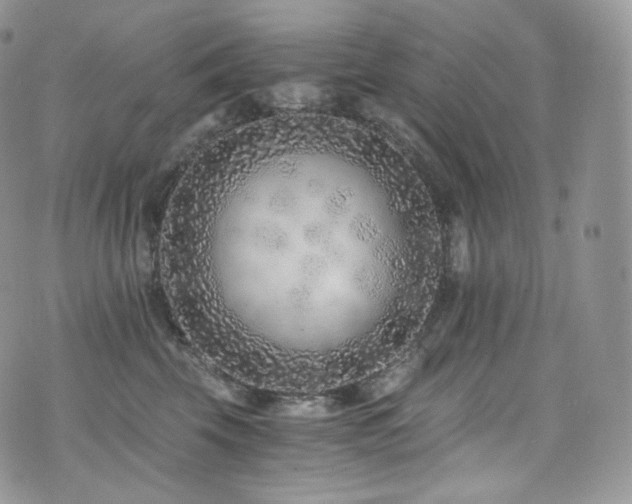 X0000073920569200608111225