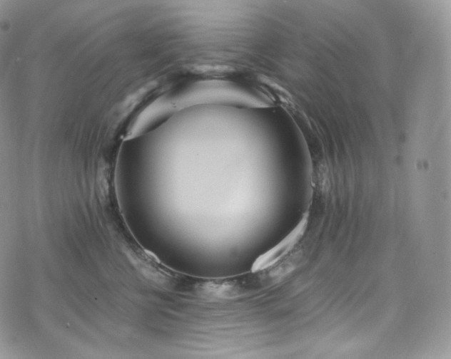 X0000073920570200608111225