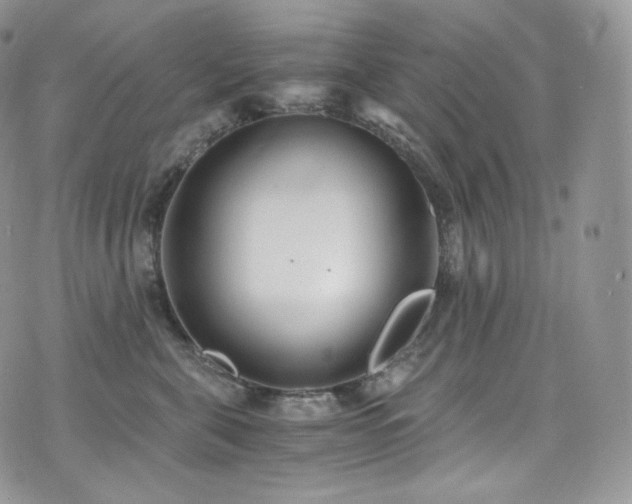 X0000073920571200608111225