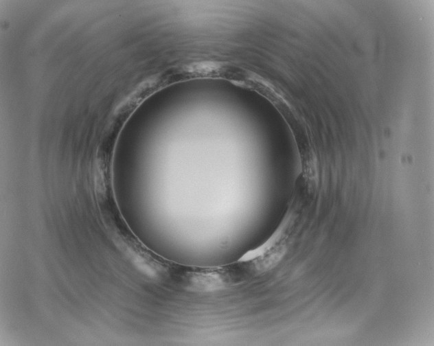 X0000073920572200608111225