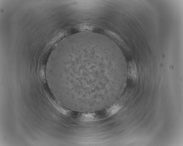 X0000073920573200608111225