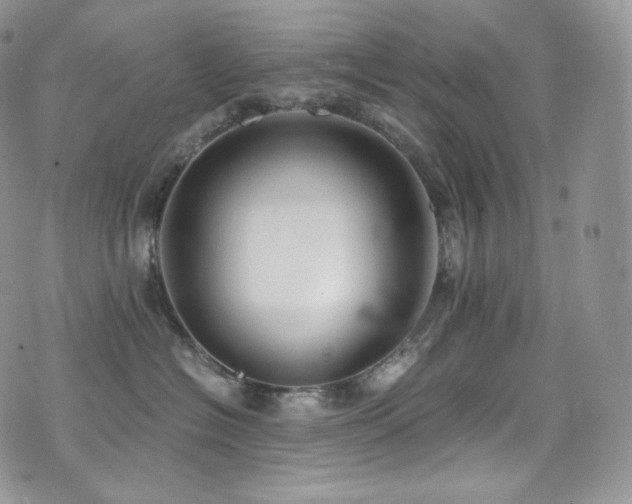 X0000073920574200608111225