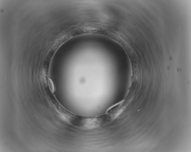 X0000073920575200608111225