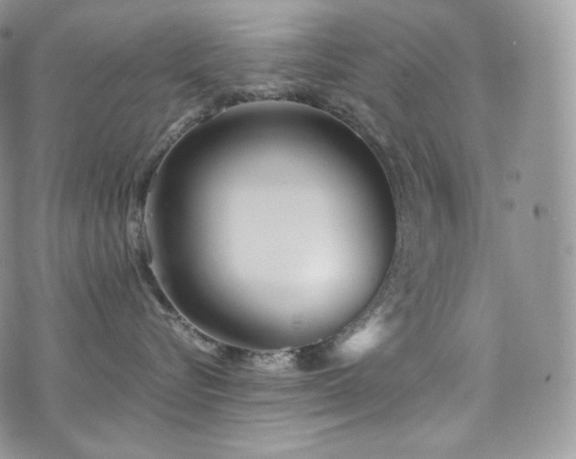 X0000073920576200608111225