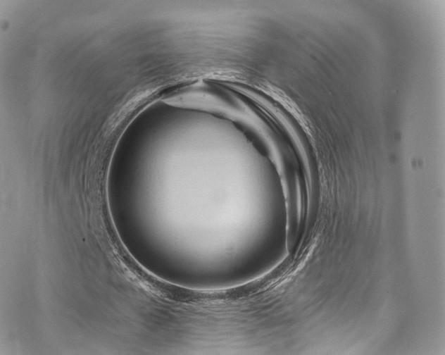 X0000073920577200608111225