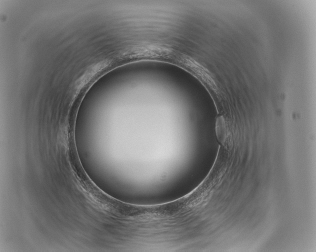 X0000073920578200608111225