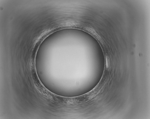 X0000073920579200608111225