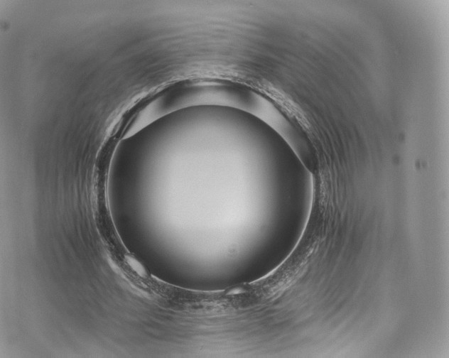 X0000073920580200608111225