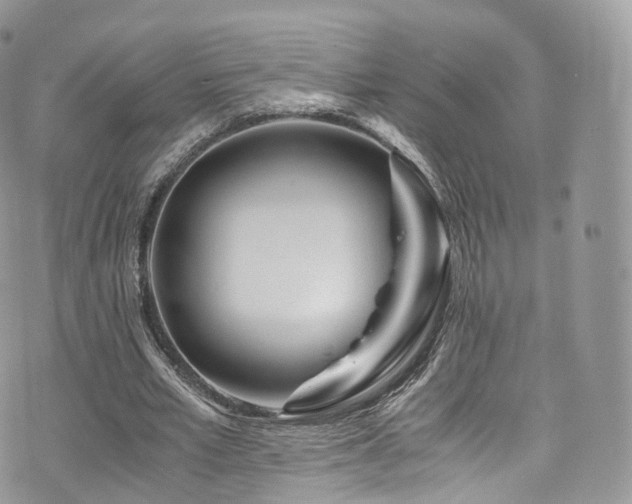 X0000073920581200608111225