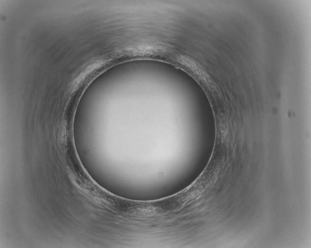 X0000073920583200608111225