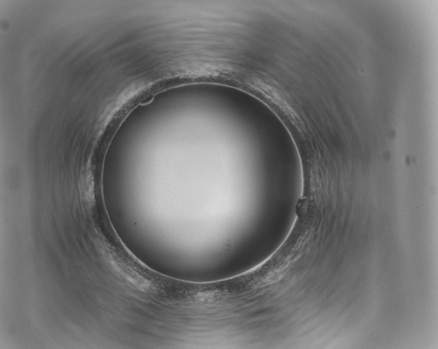 X0000073920584200608111225