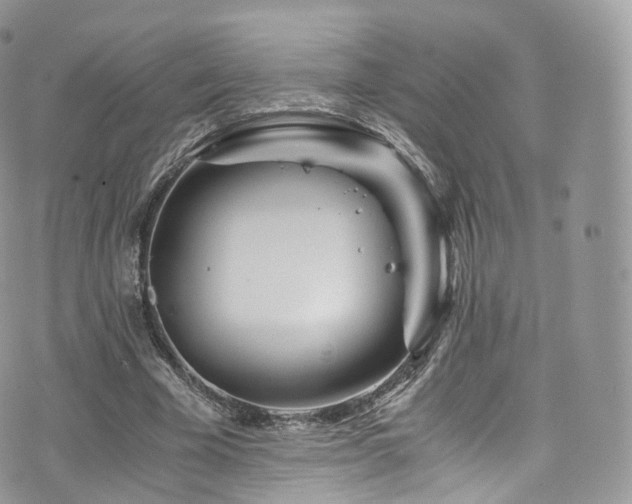 X0000073920585200608111225