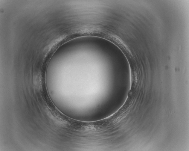 X0000073920588200608111224