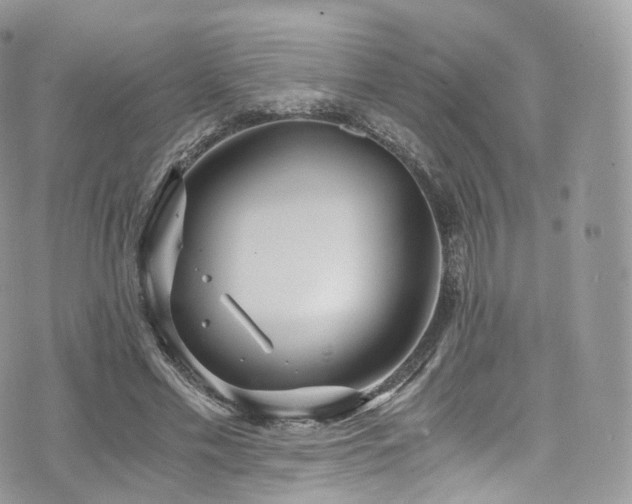 X0000073920589200608111224