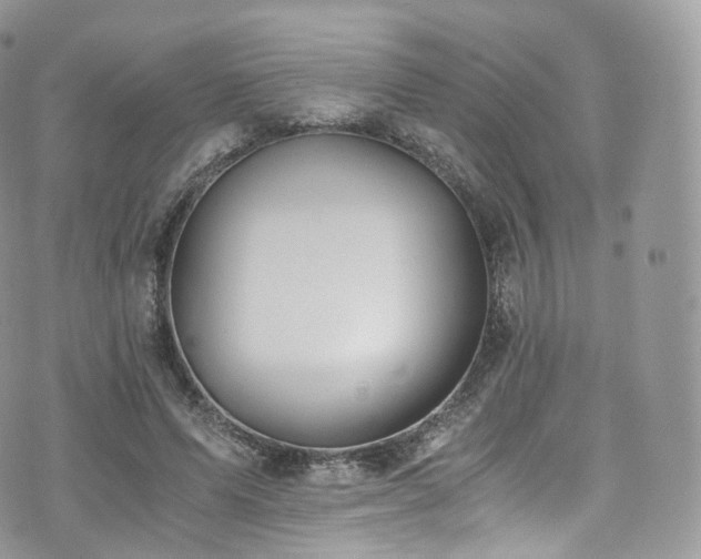 X0000073920591200608111224