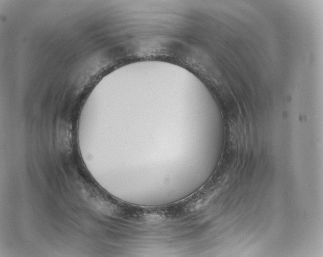 X0000073920592200608111224