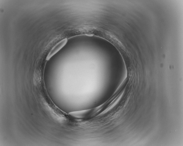 X0000073920593200608111224