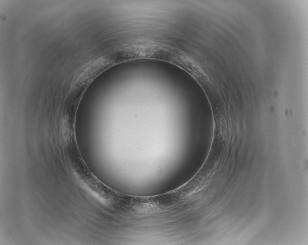 X0000073920594200608111224