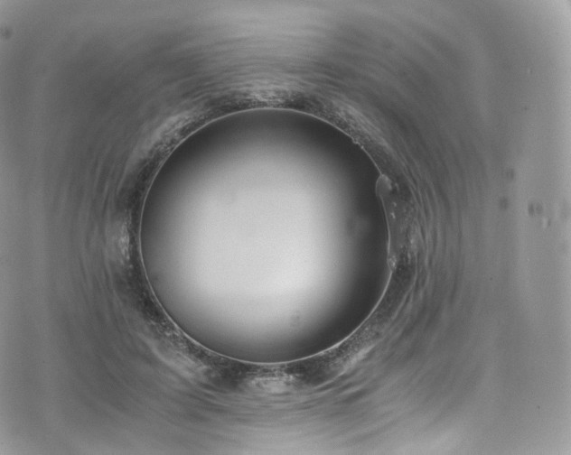 X0000073920595200608111224