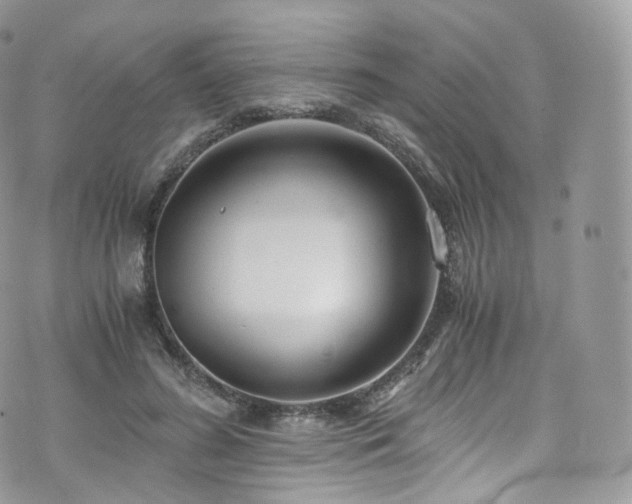 X0000073920596200608111224