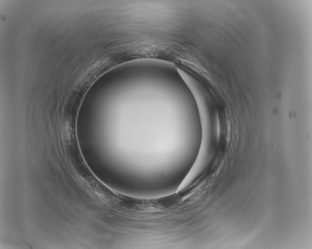 X0000073920597200608111224