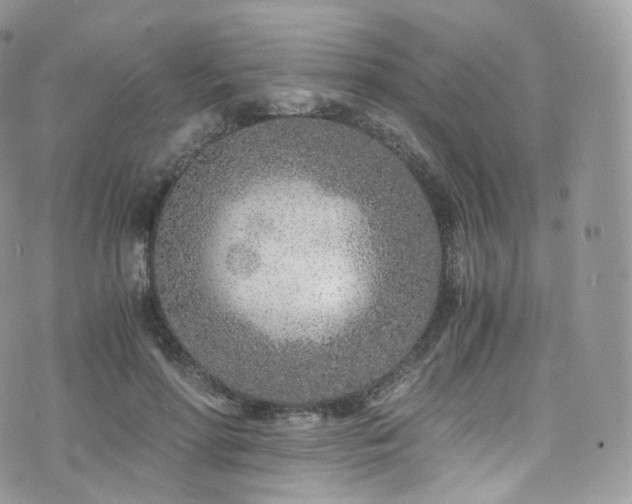 X0000073920598200608111224