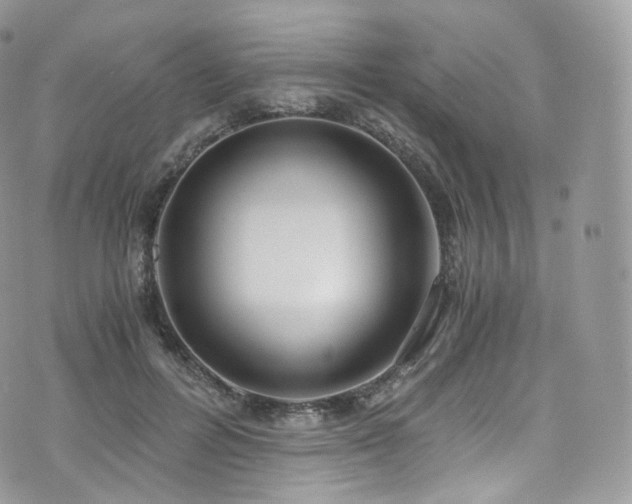 X0000073920600200608111224