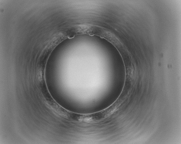 X0000073920602200608111224