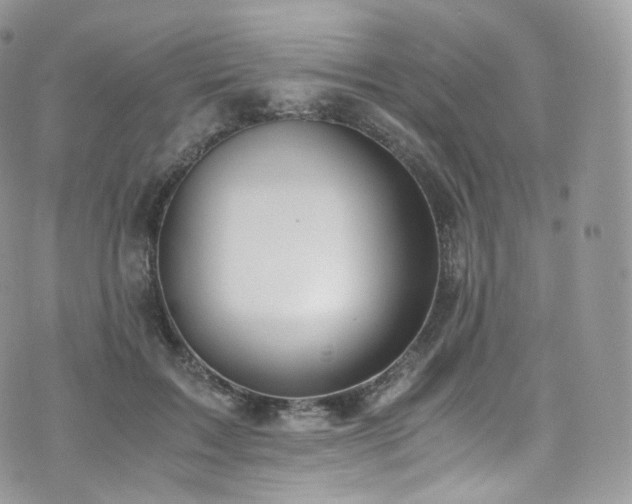 X0000073920603200608111224