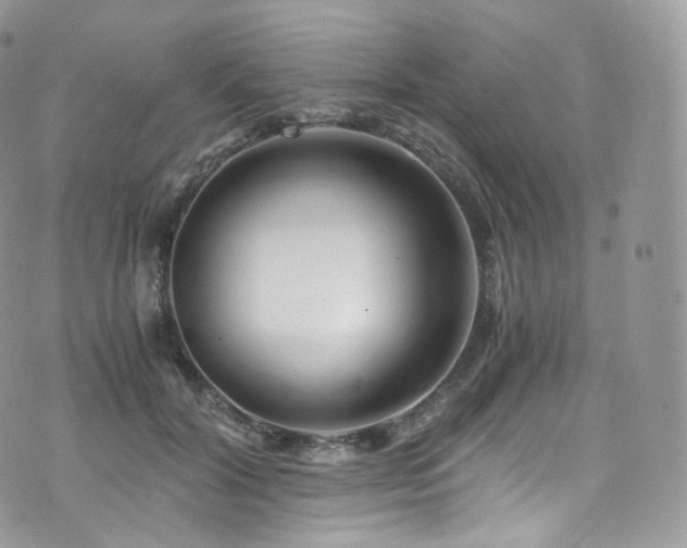 X0000073920604200608111224