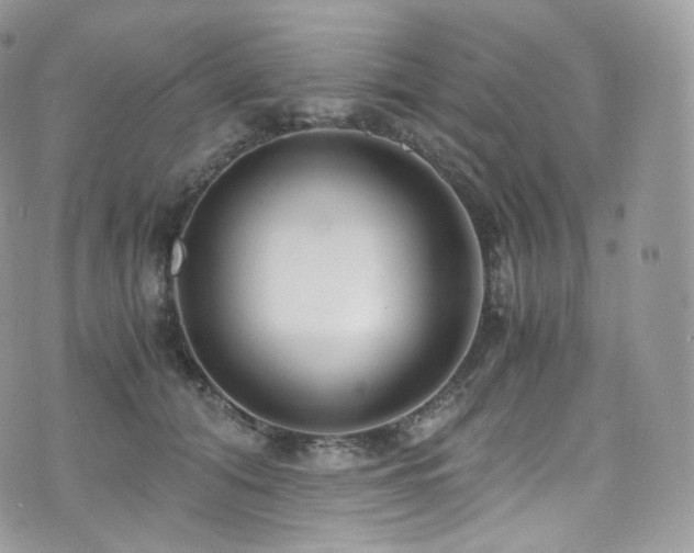 X0000073920608200608111224