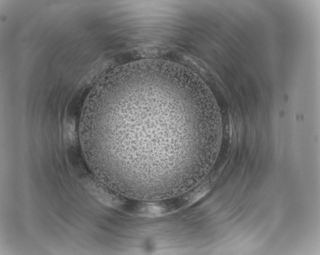 X0000073920610200608111224