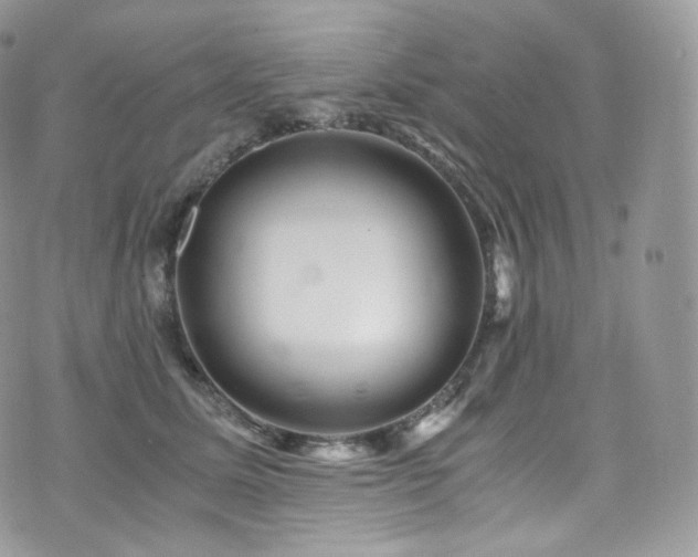 X0000073920611200608111224