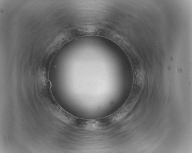 X0000073920612200608111224