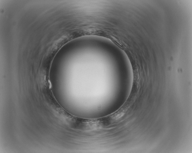 X0000073920615200608111224