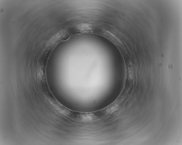 X0000073920618200608111224