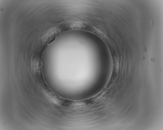 X0000073920619200608111224