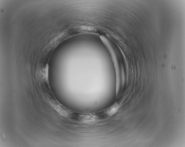 X0000073920621200608111224