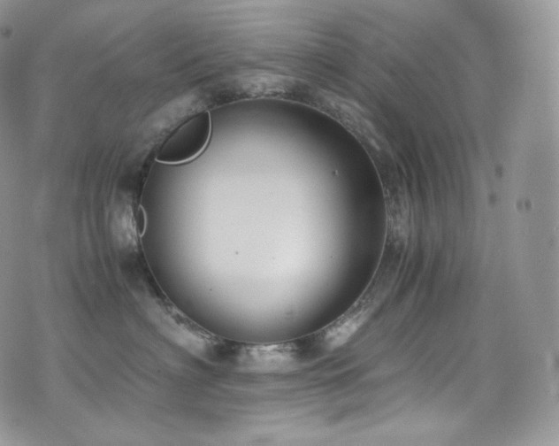 X0000073920622200608111224