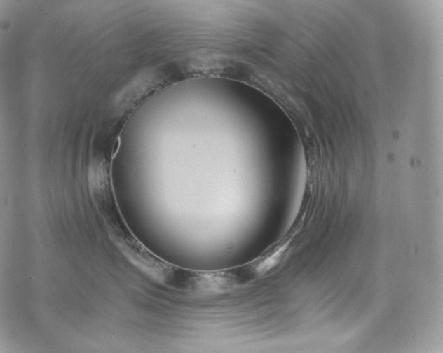 X0000073920623200608111224