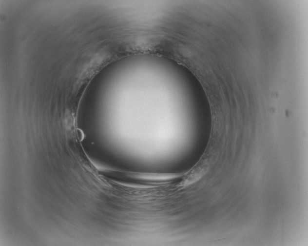 X0000073920624200608111224