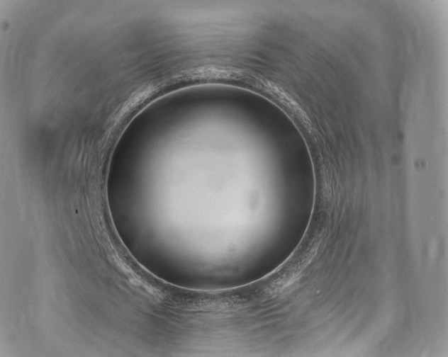 X0000073920625200608111223