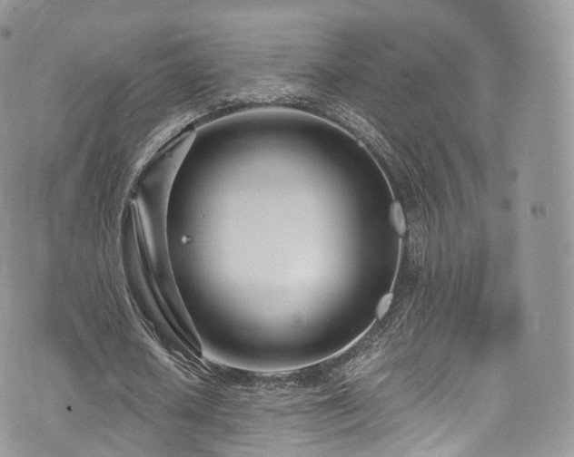 X0000073920626200608111223