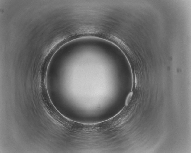 X0000073920627200608111223