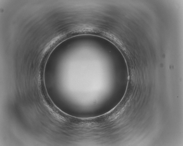 X0000073920629200608111223