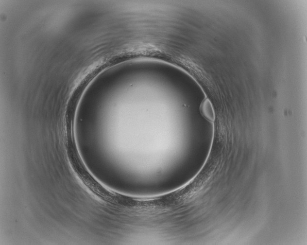 X0000073920630200608111223